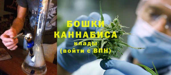 спиды Лиски