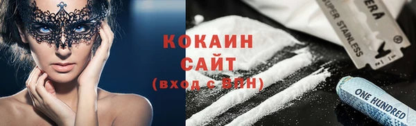 спиды Лиски