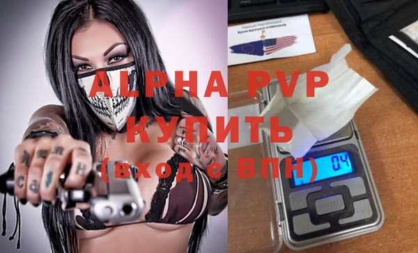 спиды Лиски