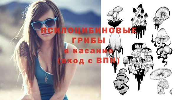 спиды Лиски