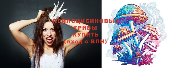 спиды Лиски